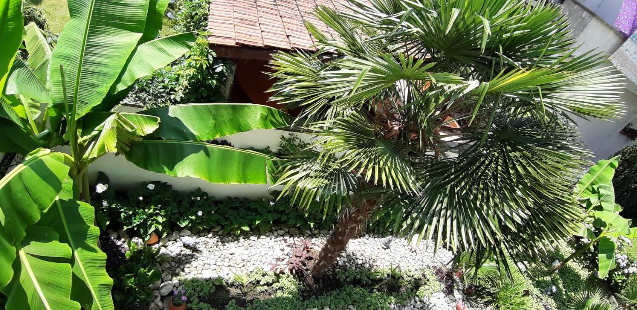 Laguna Guest house