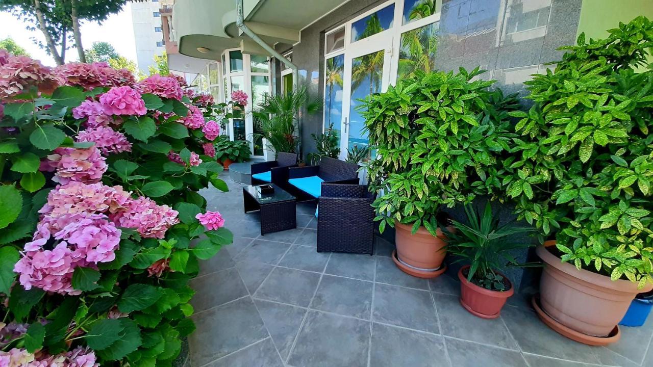Guest house Laguna