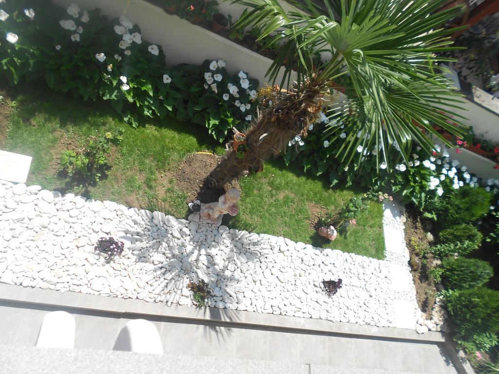 Guest house Laguna